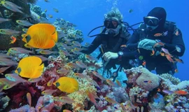 Scuba Diving Excursion In Marsa Alam